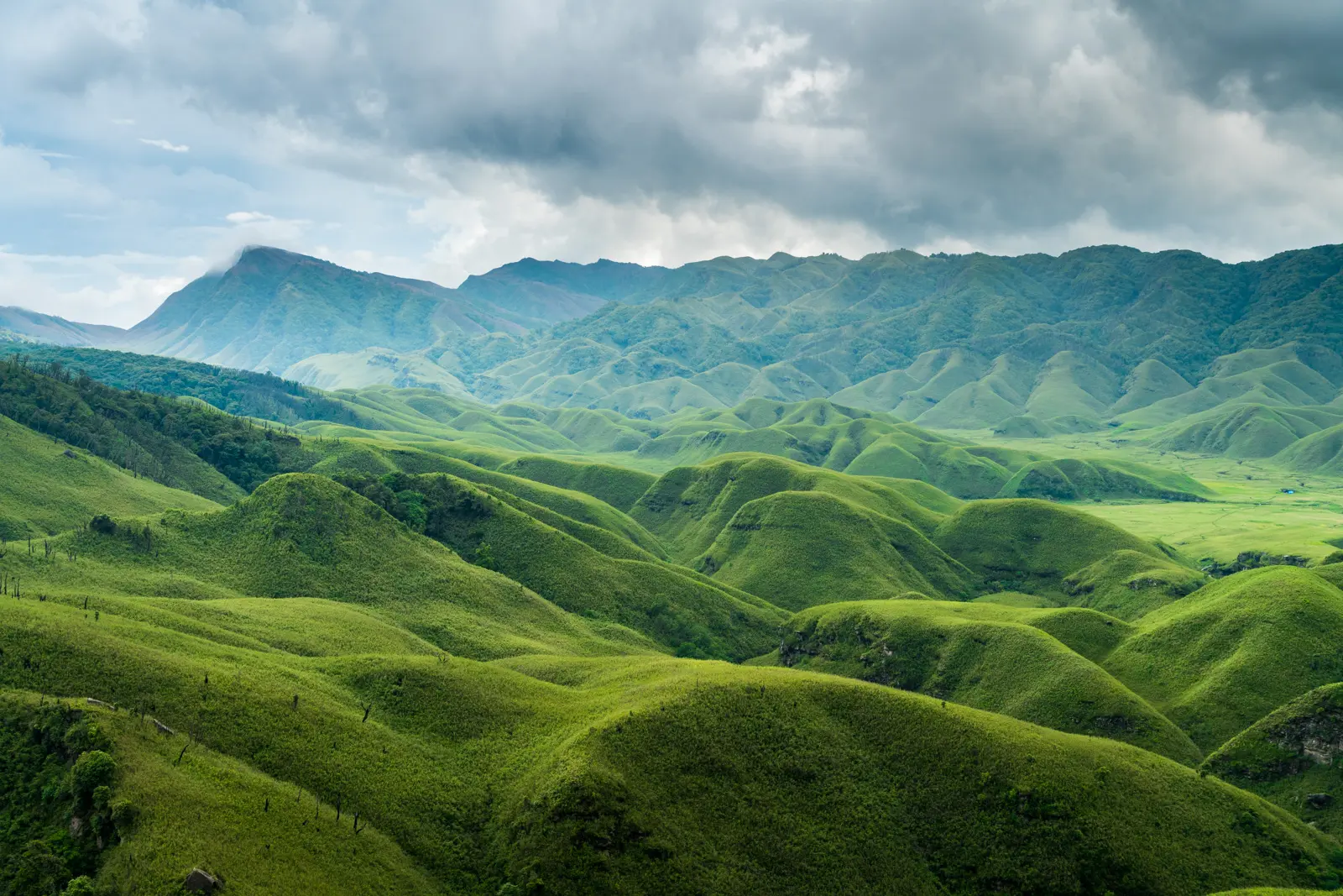 Dzukou Valley Trek